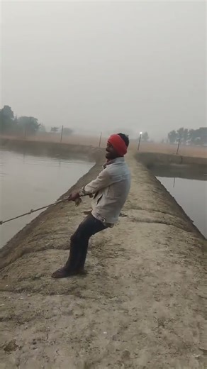 morning view of fish farm 🌞 #fishing #farmingtraditions #aquaculture #fish #fishfarming #nature