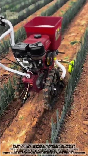 Modern Farming: Efficient Mini Tiller Cultivator for Soil Preparation