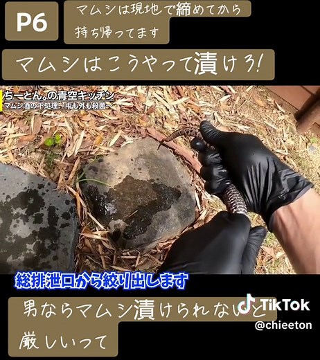 マムシ酒の作り方と注意点