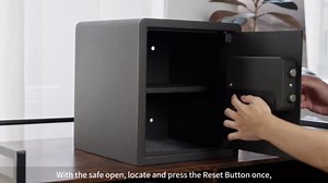 WOLF ARMOR Biometric Safe Box, Backlit Touchpad Small Safes for Home with Emergency Type-C Port, Indicator Light, Alloy Steel Safe Lock Box for Money Jewelry, 0.5 Cubic Feet