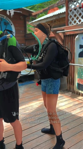 Before you enter the water, run a thorough Equipment and Buddy Check 🧭🔧 The standard approach is BWRAF, BCD, Weights, Releases, Air, Final OK, a simple, repeatable sequence you perform with your buddy 🤝 Do you do this before every dive? 🤿💬 #BWRAF #BuddyCheck #Diving #Scuba #DiveSafe #UnderwaterSafety #BCD #Weights #Releases #Air #FinalOK | Coconut Tree Divers & Go Pro Caribbean