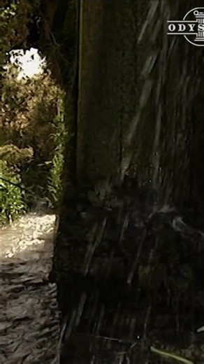 Witness the power of an ancient irrigation system! Water gracefully flows from concrete into a thriving landscape. The ingenious water wheel mechanism is a testament to the past. #Irrigation #AncientTech #WaterWheel #Sustainable #Landscape | Odyssey - Ancient History