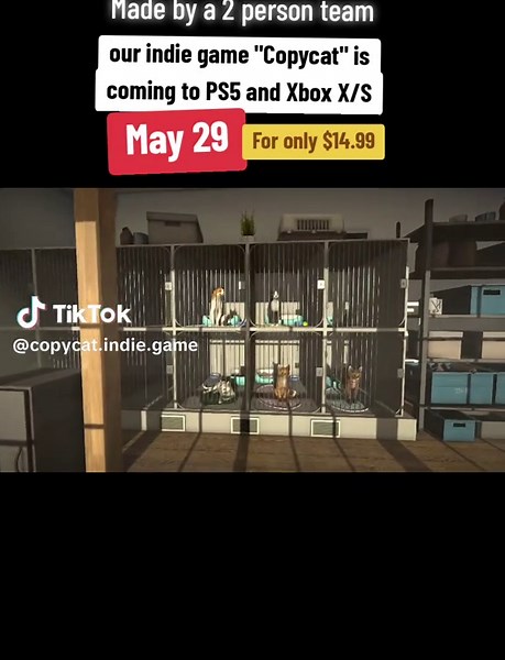 Copycat: New Indie Cat Game for PS5 and Xbox