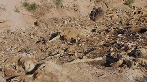 Dead Pit-Department of Natural Resources drop off for winter and road killed deer and elk-decomposing animal carcasses.