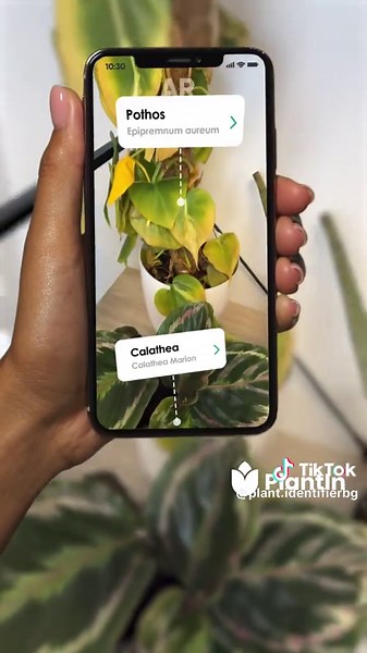 Plant Identifier - Plant Care trên TikTok