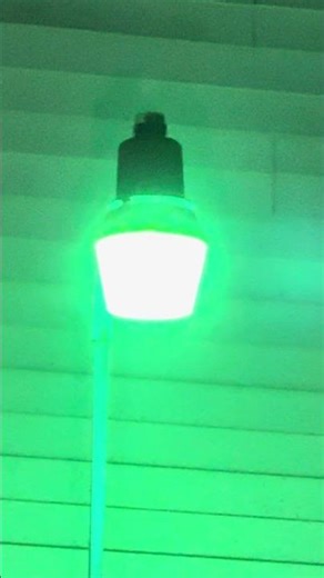 Mercury Vapor Area Light