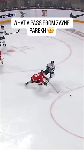 BarDown on Instagram: "The pass. The finish. Textbook hockey. 😍"