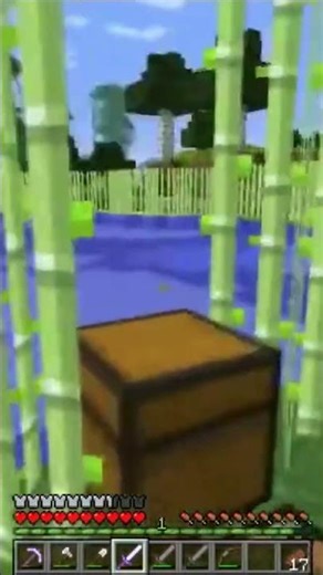 The computer science professor