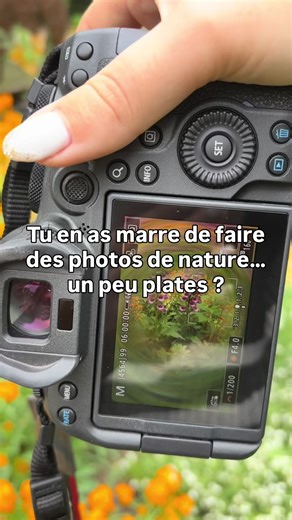 Tu vois ces photos de fleurs… jolies, mais sans vraiment d’émotion ? Pendant longtemps, c’est exactement ce que je ressentais avec mes images. J’arrivais à capturer quelque chose de beau, oui… mais pas ce que je vivais réellement sur le moment. Parce qu’en vrai, la nature, ce n’est jamais “plate”. C’est vivant, lumineux, parfois même un peu magique — et j’avais envie que ça se ressente dans mes photos. Du coup, j’ai commencé à tester, à jouer avec la lumière, à sortir un peu de ce que je faisais
