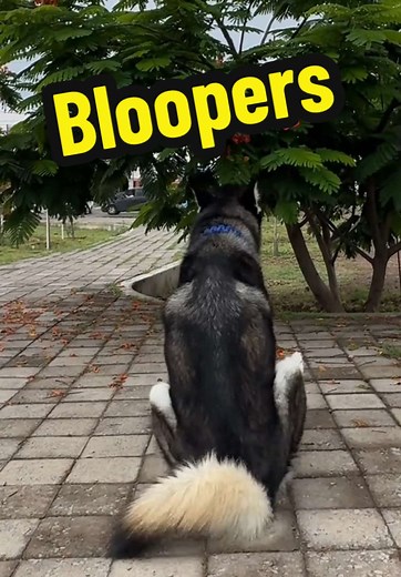 Cuentas recomendadas