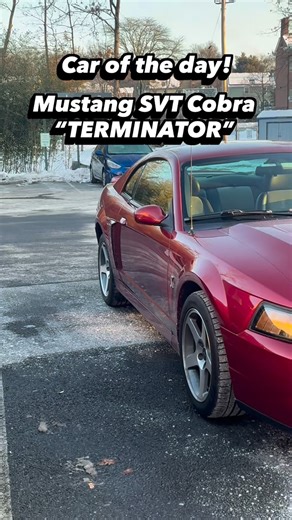 Shade Tree Garage on Instagram: "The legendary “Terminator” Powered by a factory-supercharged 4.6L DOHC V8 making 390 hp / 390 lb-ft, this was the first supercharged Cobra and one of the most overbuilt Mustangs ever. At Shade Tree Garage, we service every car with the respect and care it deserves. Whether it’s your daily driver or your pride and joy, we make sure the job is done right."