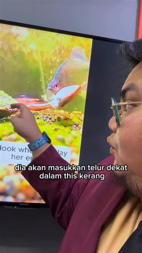 iqbal ahyar on Instagram: "follow for more fun animal/science facts! saya juga mengajar science/biology di @mcplus.my and right now kami dah mula serious belajar silibus 2026. nak join jum! ada 25% off for a limited time"