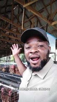 THIS IS WHAT HAPPENED TO A CLIENT!#startup #setup #management #poultry #farming #birds #shorts