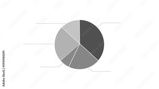 Pie Chart Data Visualization with Different Shades of Gray.