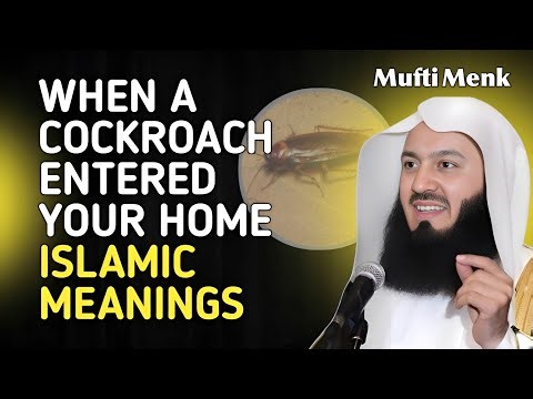 When Allah Lets a Cockroach Into Your Home | There's a Lesson and Message in ItMufti Menk