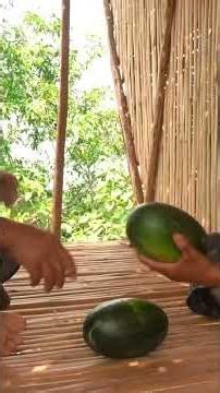 " PART 1 "✨ Complete Bamboo Vision-House & Swimming Pools