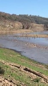 Finally getting some good flows into Burrendong dam after storms last week around Bathurst and Oberon area 📹 Royston Dean At Reflections Holiday Parks Mookerawa Waters | New South Wales STORM WATCH