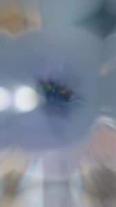 The habit of flies decapitating themselves #fly #facts #fliesfact #amazingvideo #reels #insta #fb #fyp #viralvideo #education | Deep Access