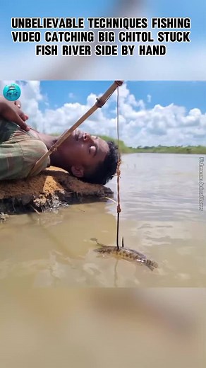 Unbelievable Techniques Fishing Video Catching Big Chitol Stuck Fish River Side By Hand #fish_video #fishing #viralvideo #fish_video #fishingtricks #fish #fypシ゚viral #viral #fyp #video #foryoupagе