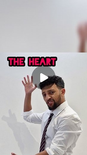 Matt Green on Instagram: "GCSE Biology Revision - The Heart (on the spec for both Edexcel and OCR Biology Paper 2 - NOT AQA) #heart #humanheart #year11 #stem #rappingteacher #exams #revision #gcse #stem #school #science #combinedsciencegcse #biology"