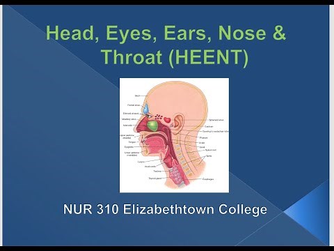NUR 310 Lesson 2 HEENT Assessment