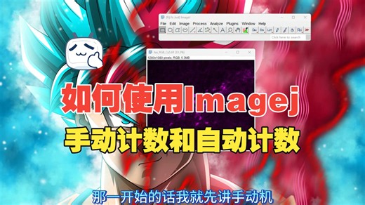 如何使用imagej计数，有手动计数和自动计数