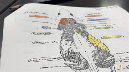 Why are these Winter Park HS OCPS students dissecting rats? 🐀 To get a powerful, firsthand understanding of anatomy and physiology. It's experiences like this that help our students be better prepared for future careers in health care! #ocps #WeAreOCPS #science | Orange County Public Schools