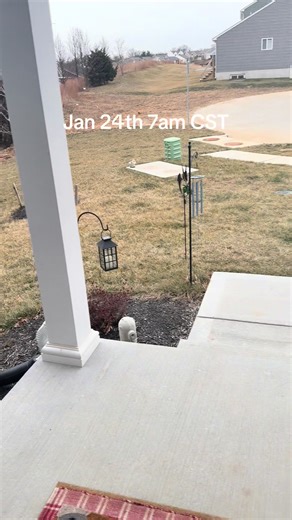 Winter Storm Update Near St. Louis: Current Conditions