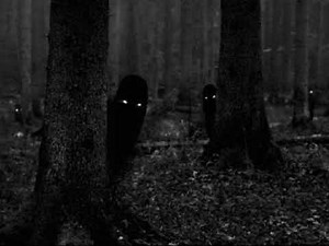 hamood habibi creepy