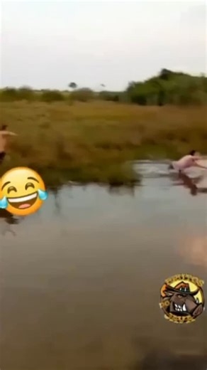 Brutos Do Java on Instagram: "Pensa num americano de respeito 🤣🤣🤣 . . #brutosdojava"