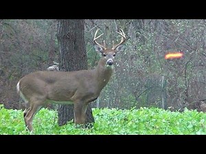 30 Kills in 30 Minutes! (ULTIMATE Hunting Highlights)