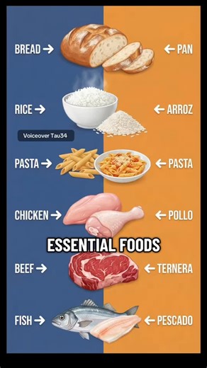 Essential Foods Vocabulary 🍞 Master them in English & Spanish! 🇺🇸🇪🇸 Learn English with images 🖼️ Bread — Pan Rice — Arroz Pasta — Pasta Chicken — Pollo Beef — Ternera Fish — Pescado Inglés con imágenes 🖼️ 🎬 Subscribe for daily visual lessons! Details at tau34.app 📲 #EssentialFoods #LearnEnglish #AprenderIngles | English & Spanish - Visual Dictionary.