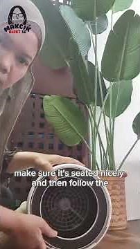 when & how to change air purifier filter