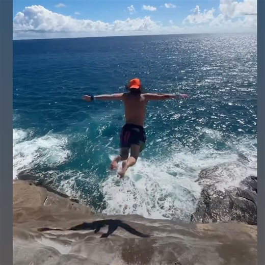 Target Practice  | Gecko Hawaii | Facebook