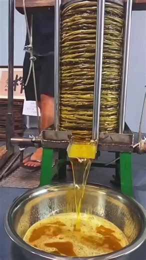 Pashto Motivational Insights for Personal Growth