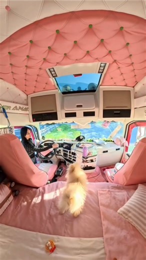 #ladytrucker drive Scania trucks so beautiful#new face UK style Volvo XC90 trucks#mercdies