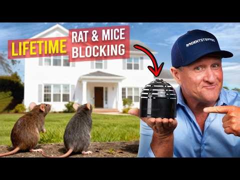 Do THIS to Your Home — And Rats Will NEVER Come Back!