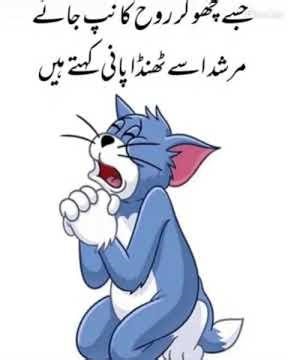 Fanny viral laughing Meme template video Try not To laugh challenge