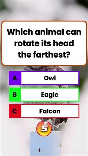 Only 1% Know 🤯 Which Animal Can Rotate Its Head The Farthest? 🦉 | Animal Quiz 🐾 #AnimalQuiz #GKQuiz