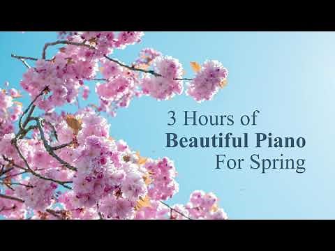 3 Hours of Beautiful & Nostalgic Piano Music for Spring – For Studying and Relaxation ✿｜BigRicePiano