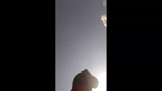 #borsugardening 🚂💨🫰🏾🙏🏾