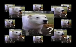 【奇形怪梗】Huh?叠加62亿768千万369万664千次