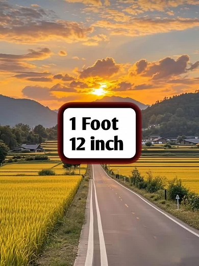 تبدیلیاں جو آپ کو میٹر، فٹ اور انچ کی پیمائش میں جاننا ضروری ہیں