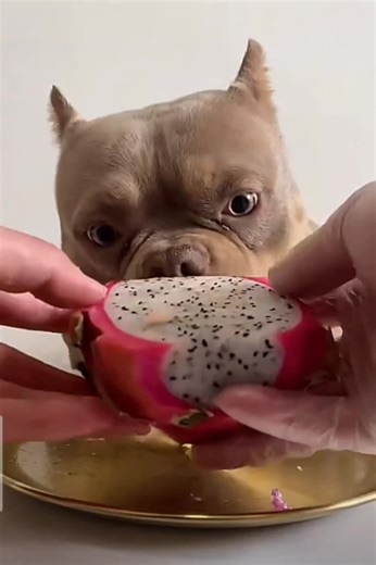 #рекомендации❤️❤️❤️