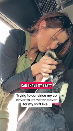 My supervisor gets really stubborn when he takes shifts as a codriver 😂🚛❤️🐕 #trucking #truckerdog #dogsoftiktok #girltrucker