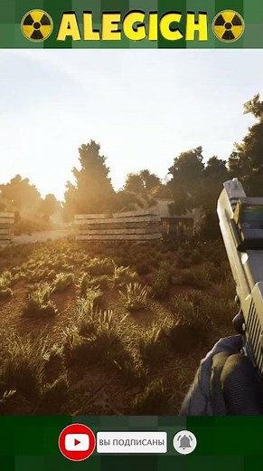 Чувствуете летнее тепло? Прохождение STALKER ANOMALY 1.5.3 GAMMA 0.9.4 на мастере