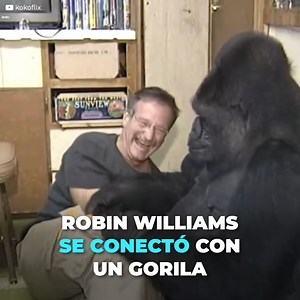 Koko es un gorila de una fundación encargada de enseñarles lengua de señas a los primates. Cuando el actor fue invitado a vivir esa experiencia, ambos conectaron de inmediato convirtiéndose en amigos para siempre | Upsocl Verde