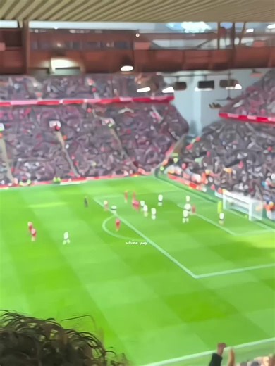 Liverpool's Mac Allister Shines Amid Challenges