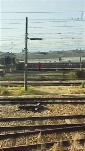 情報量多い長野総合車両センターE131長野色も！