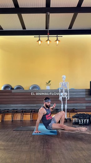 1K reactions · 55 shares |  Descubre Animal Flow  Animal Flow es...